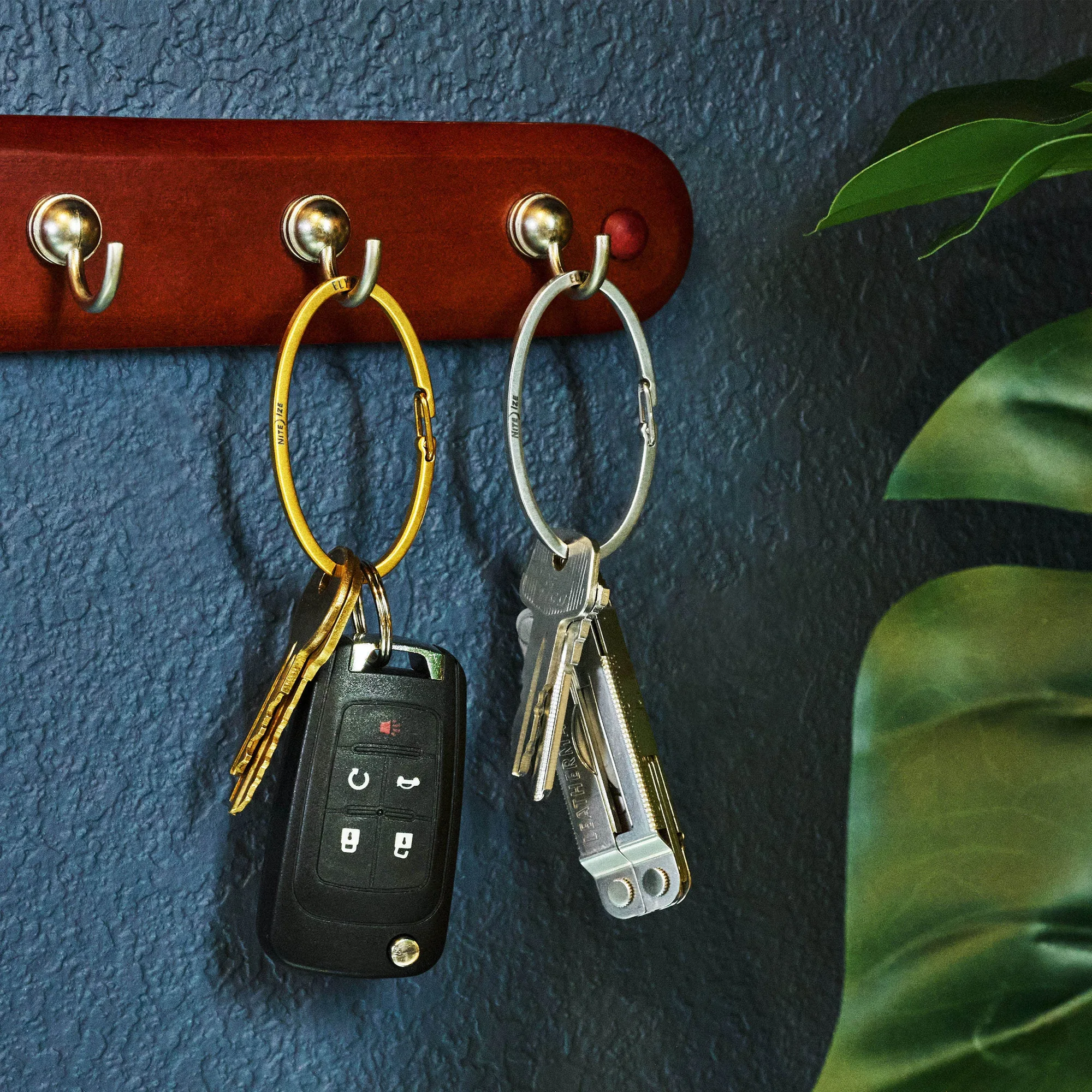 Elypz™ Key Carabiner