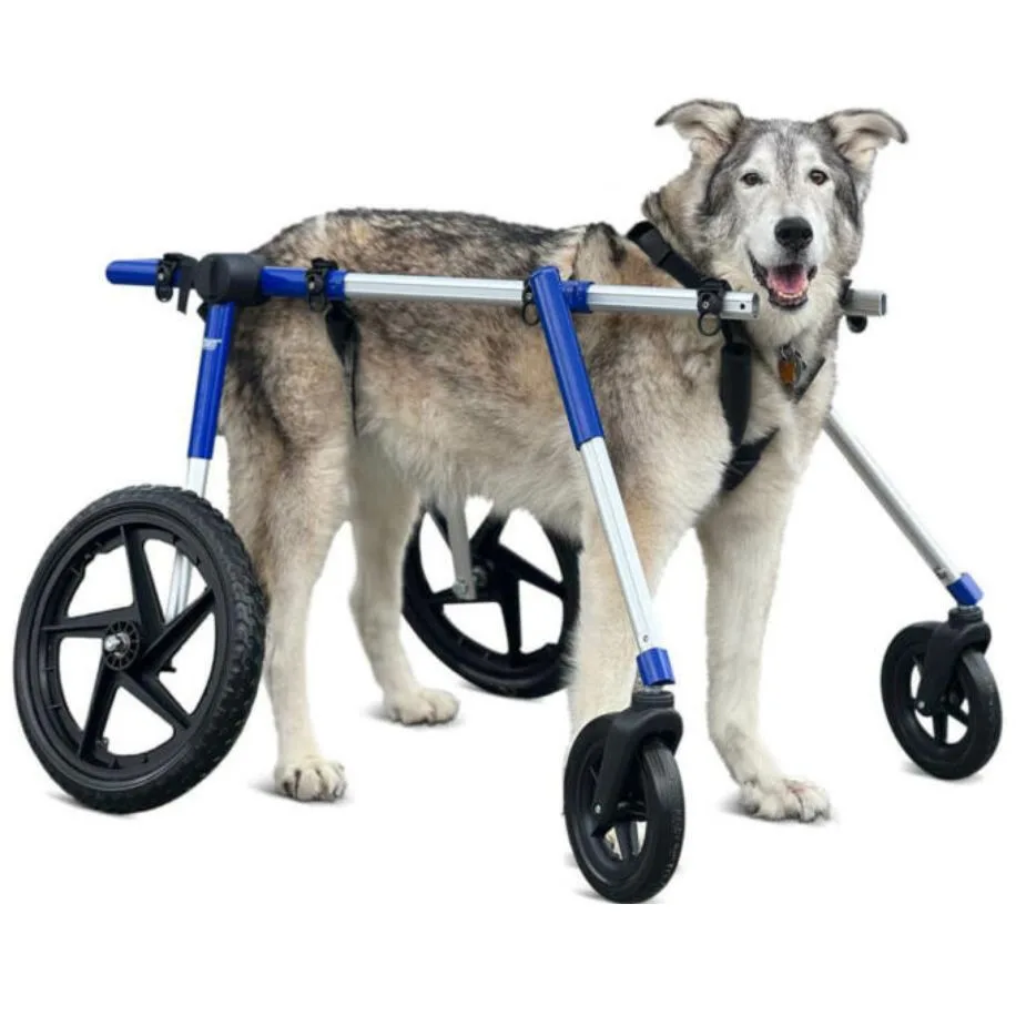 Walkin' Wheels Full Support 4-Wheel Sizing: Small to Large