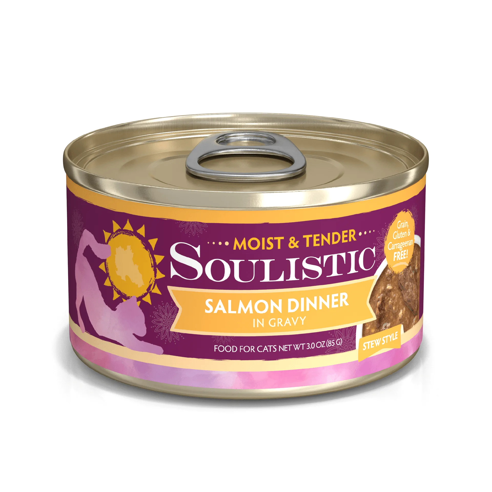 Salmon Dinner in Gravy