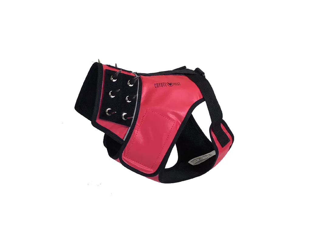 CoyoteVest so với SpikeHarness: Loại nào bảo vệ chó của bạn tốt hơn?