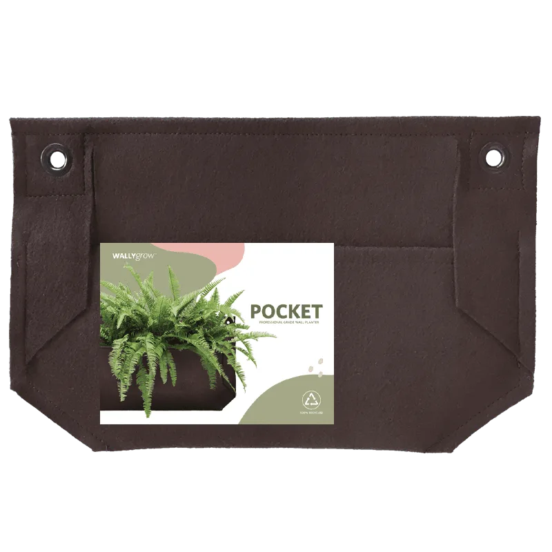 Pocket Mini Chocolate Wall Planter
