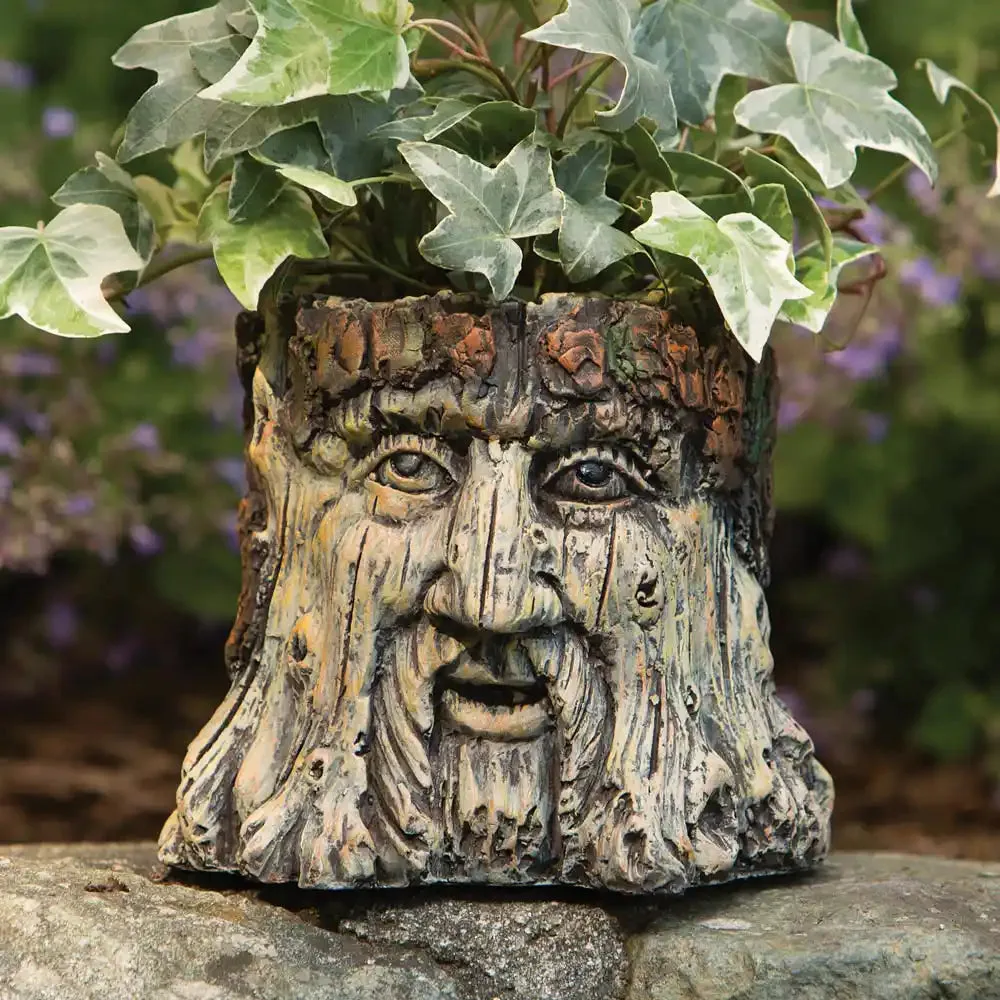 Tree Face Planter Care and Placement Tips