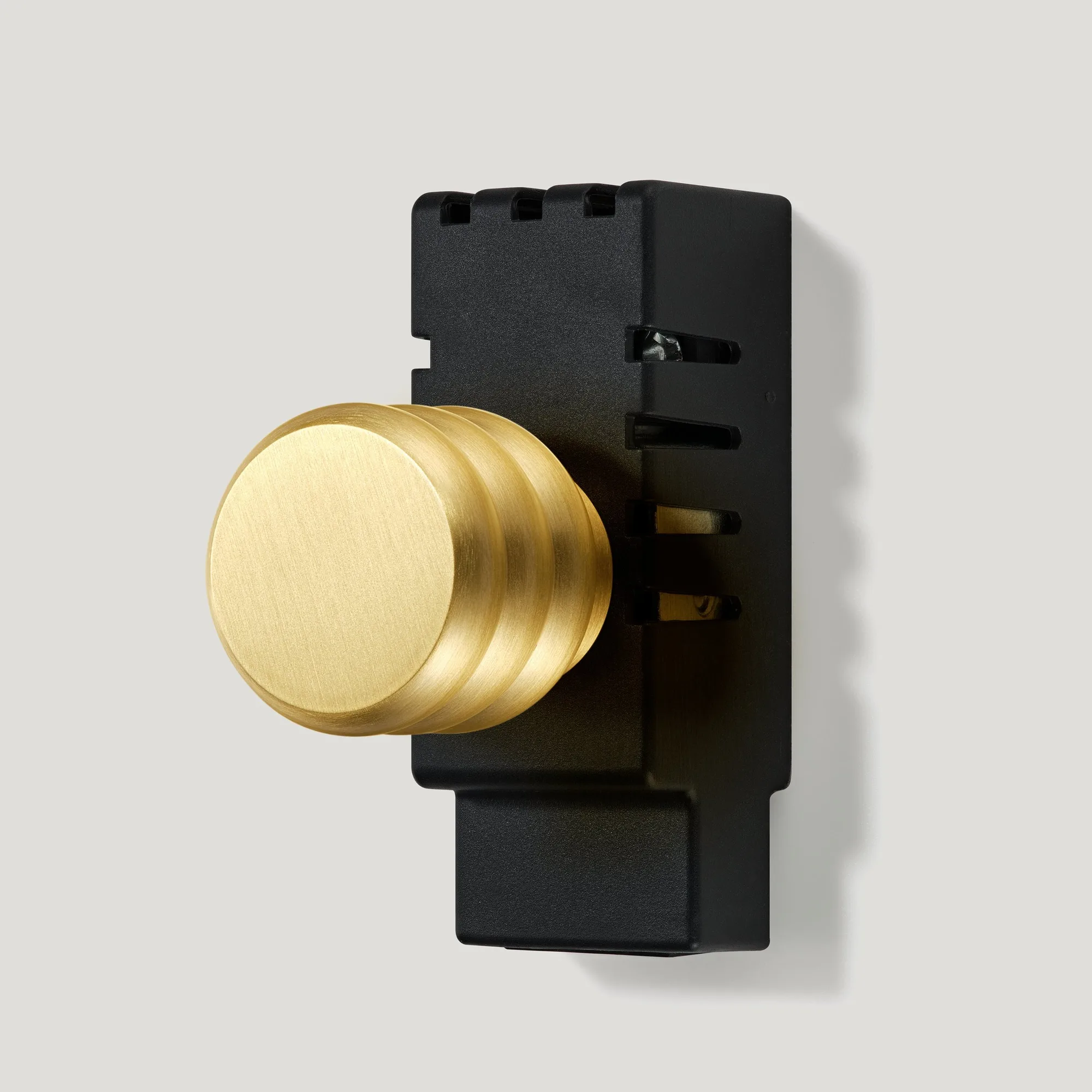 ALVA Dummy Dimmer Detail with Module - Brass