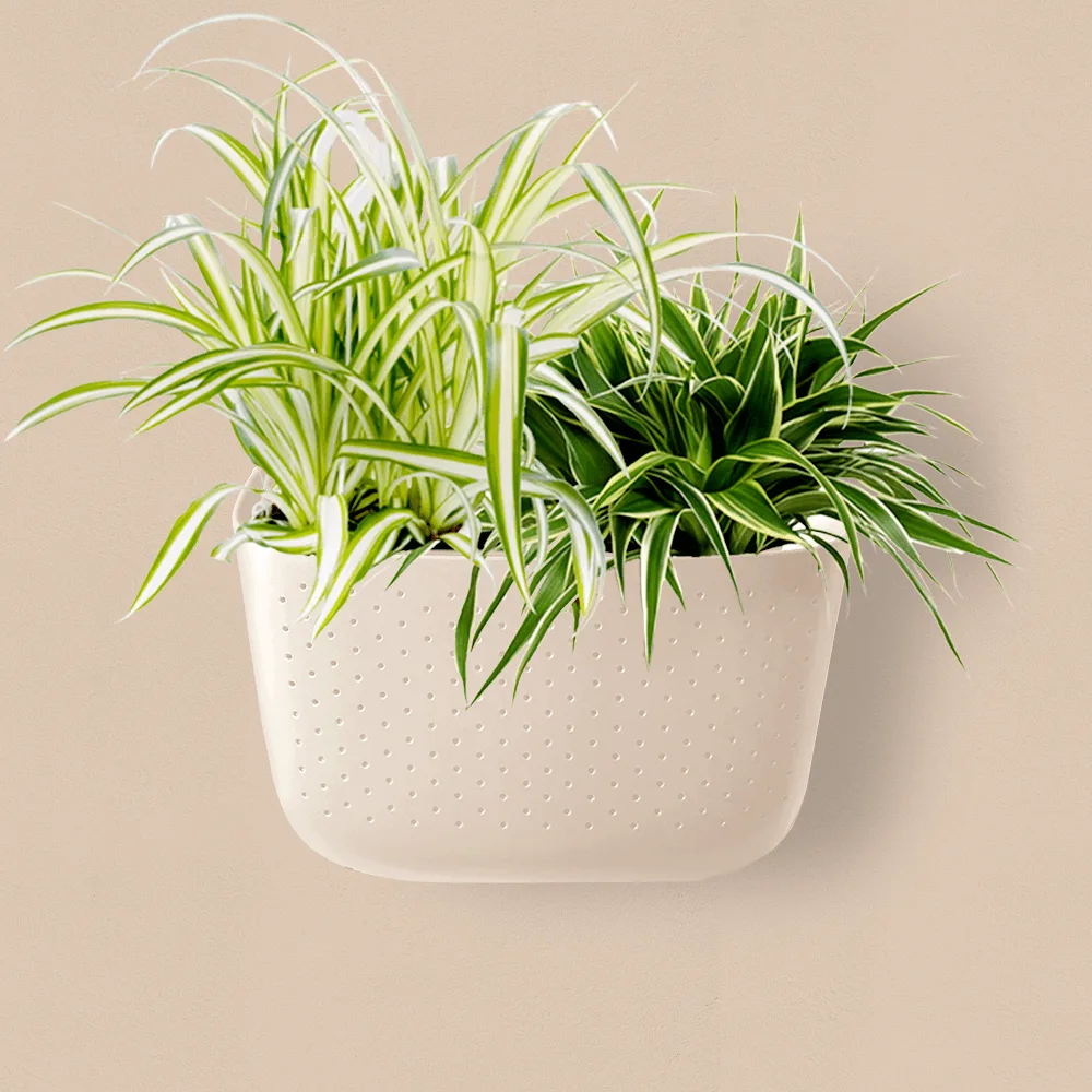 How to Style a Boho Plant Corner with Wall Planters and Macrame Accessories