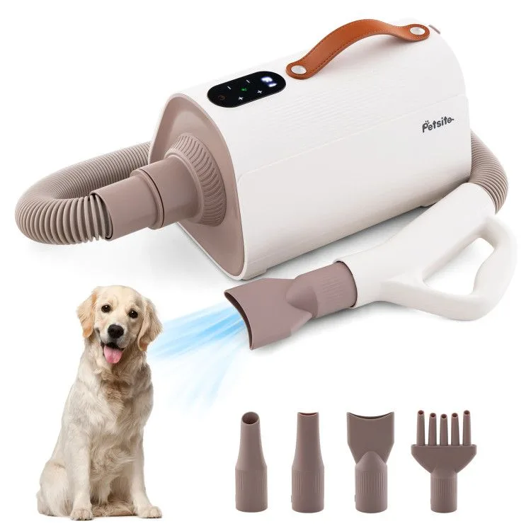 How to Bathe a Dog That Hates Water: Step-by-Step