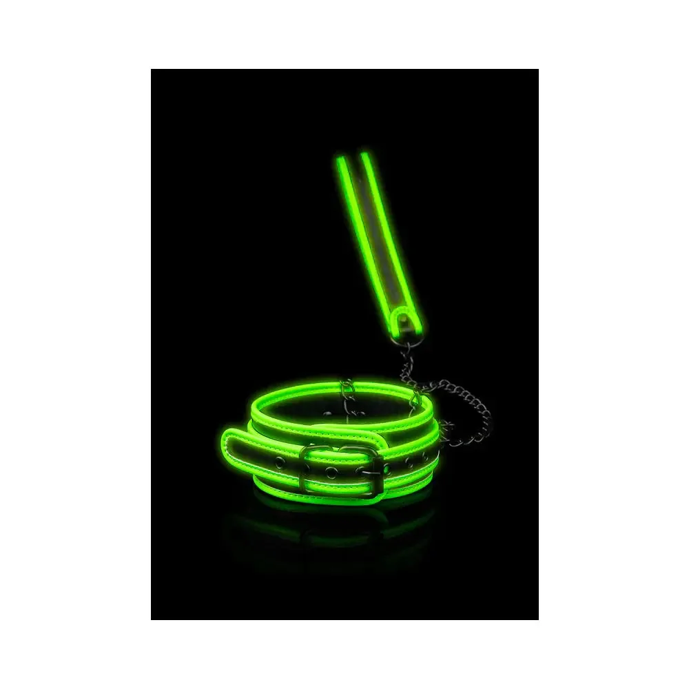 Glow in the Dark BDSM Collar and Leash: What to Know