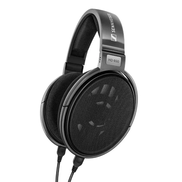 Sennheiser HD 650 vs IE 300: Which Wired Audiophile Gear Wins?