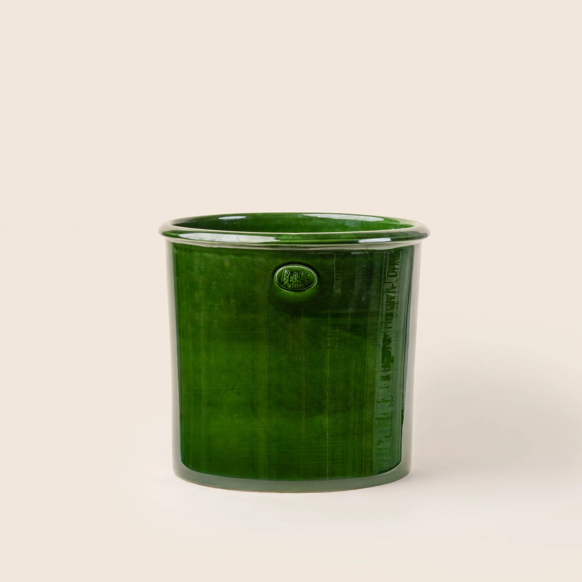 How to Choose the Perfect Vase: A Guide to Shapes, Sizes, and Flower Pairings