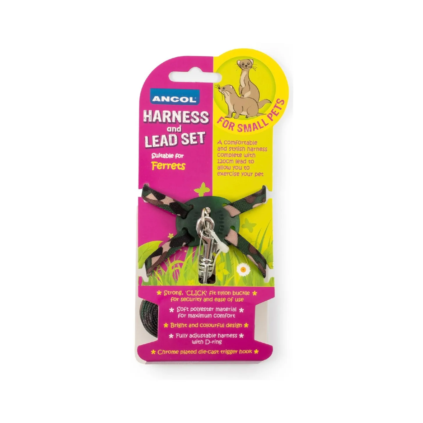 Do Ferrets Need a Harness for Walks? Yes, Here's Why