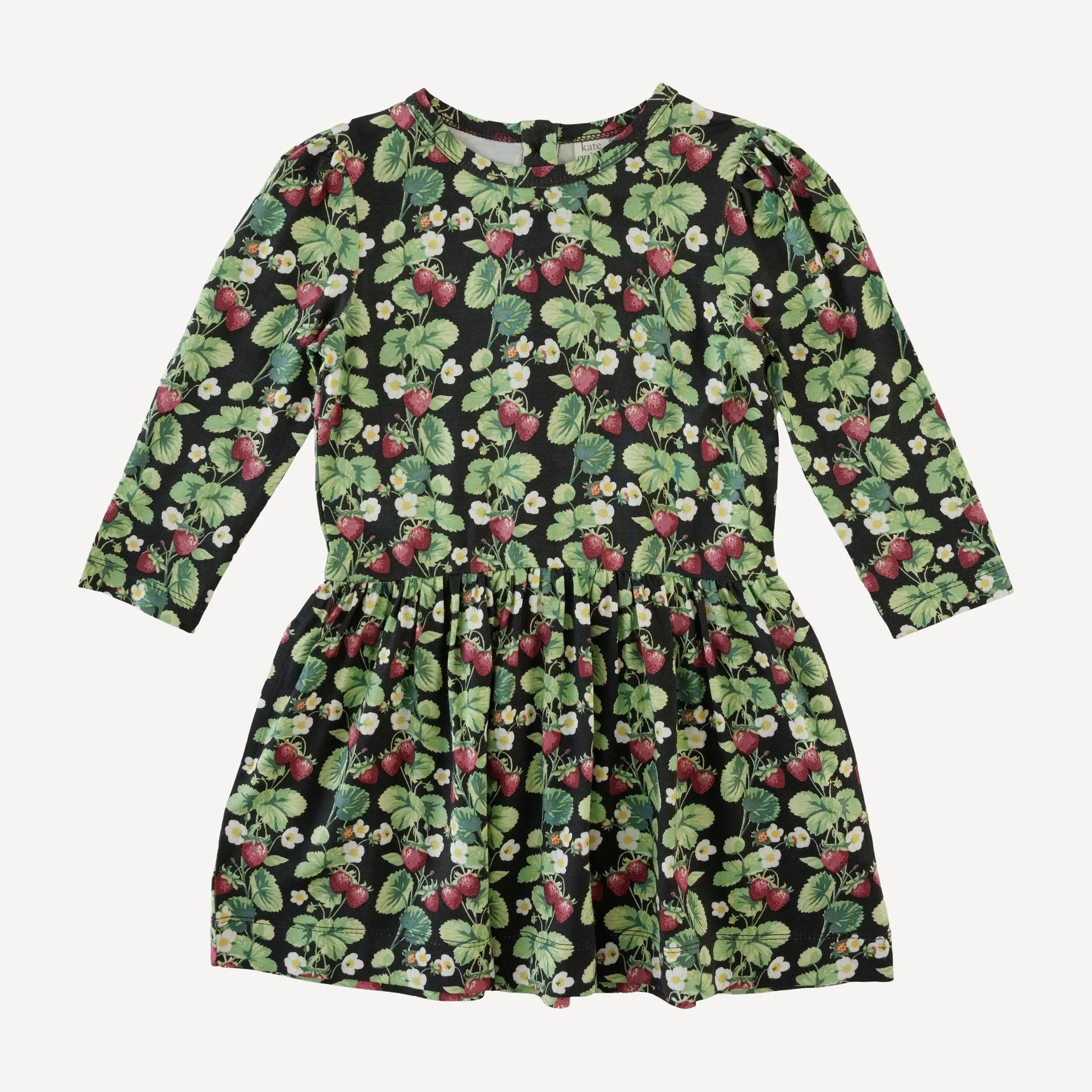 long puff sleeve drop waist dress | strawberry vine | bamboo