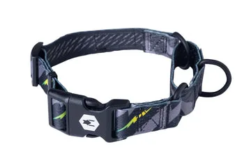 Martingale Collars vs. Flat Collars: Which Is Right for Your Dog?