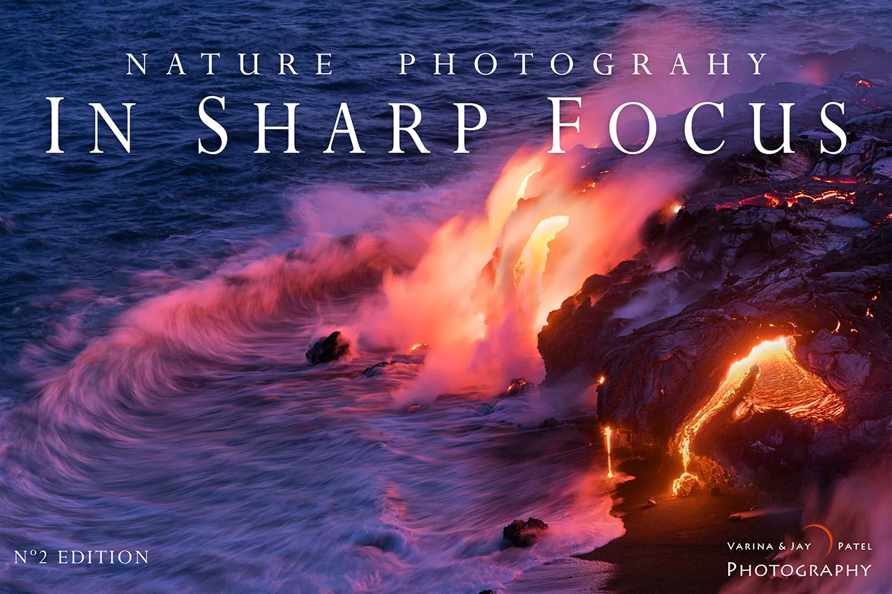 Nature Photography In Sharp Focus