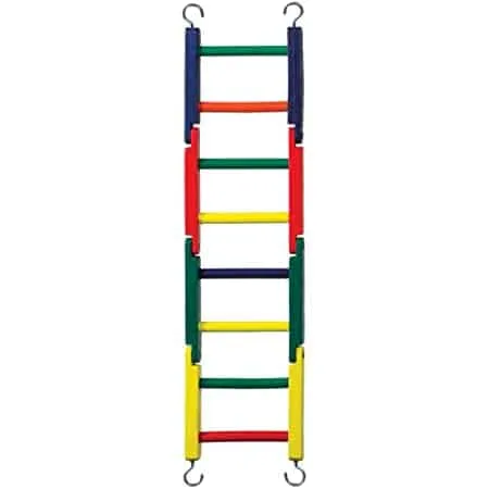 Prevue Vogel-Leiter-Setup für Spiel und Bewegung