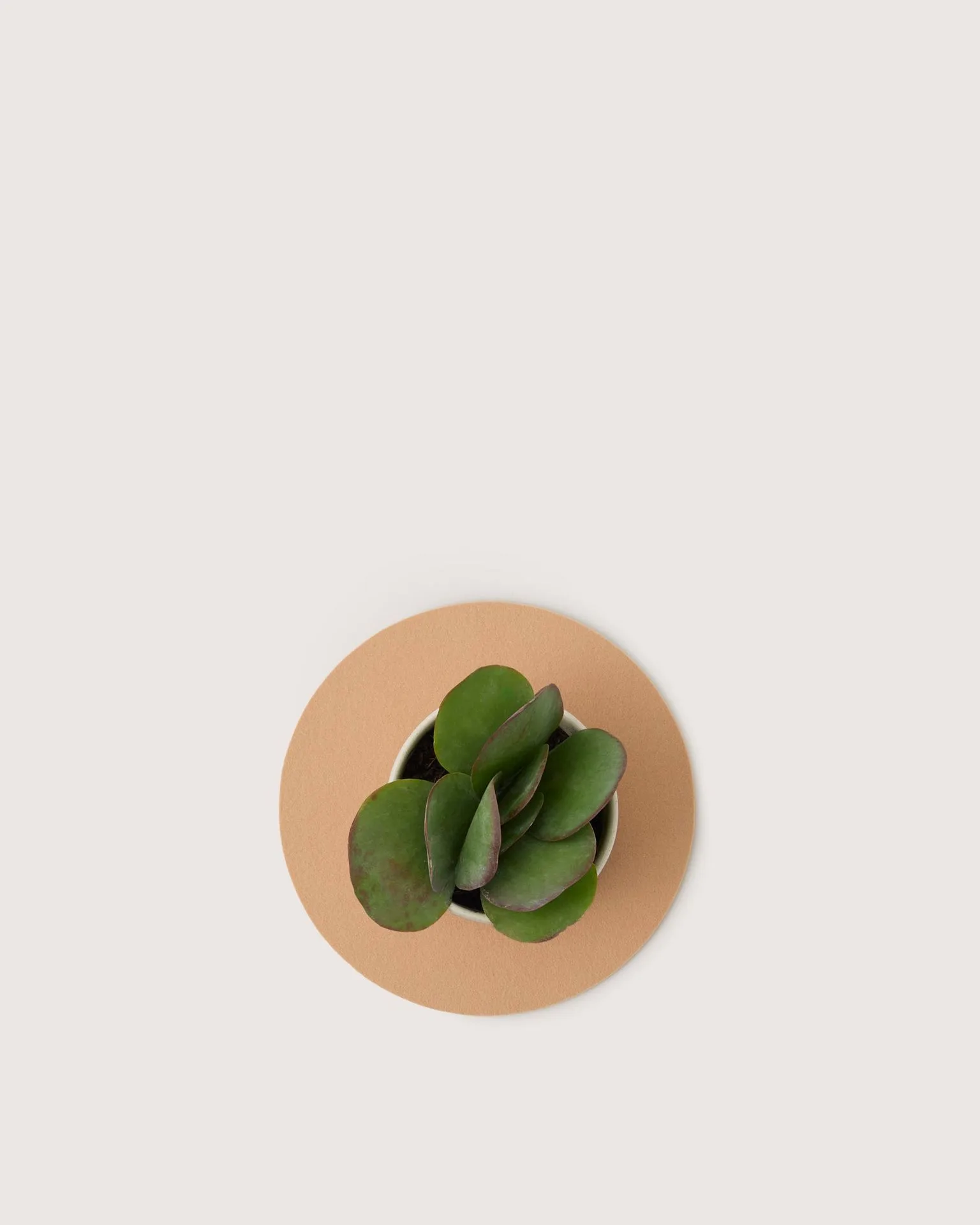 Merino Wool 10" Round Trivet