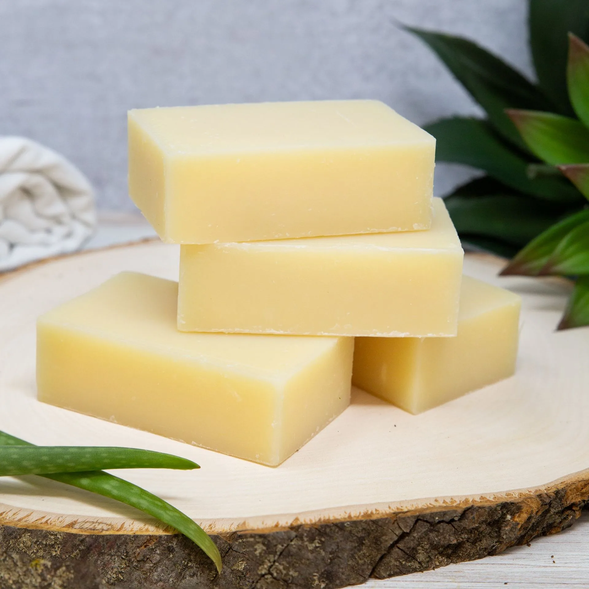 Unscented vs Scented Laundry Detergent: Which Is Right for You?