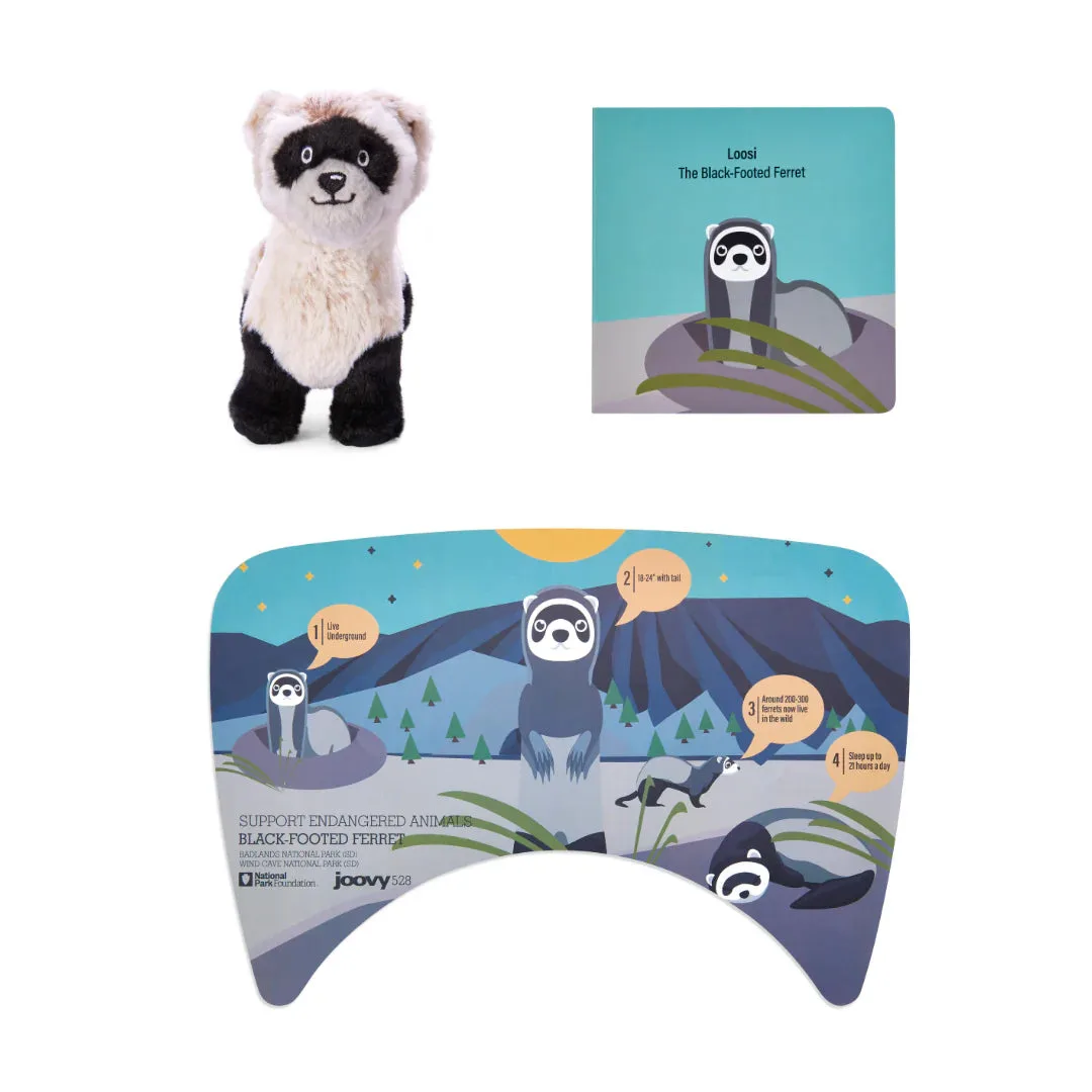 Coffret cadeau furet à pattes noires : jouet ou objet de collection ?