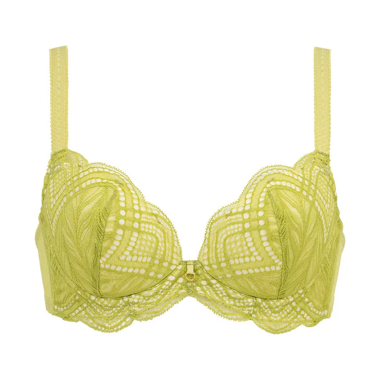Naomi Push-Up Plunge Bra 24S2