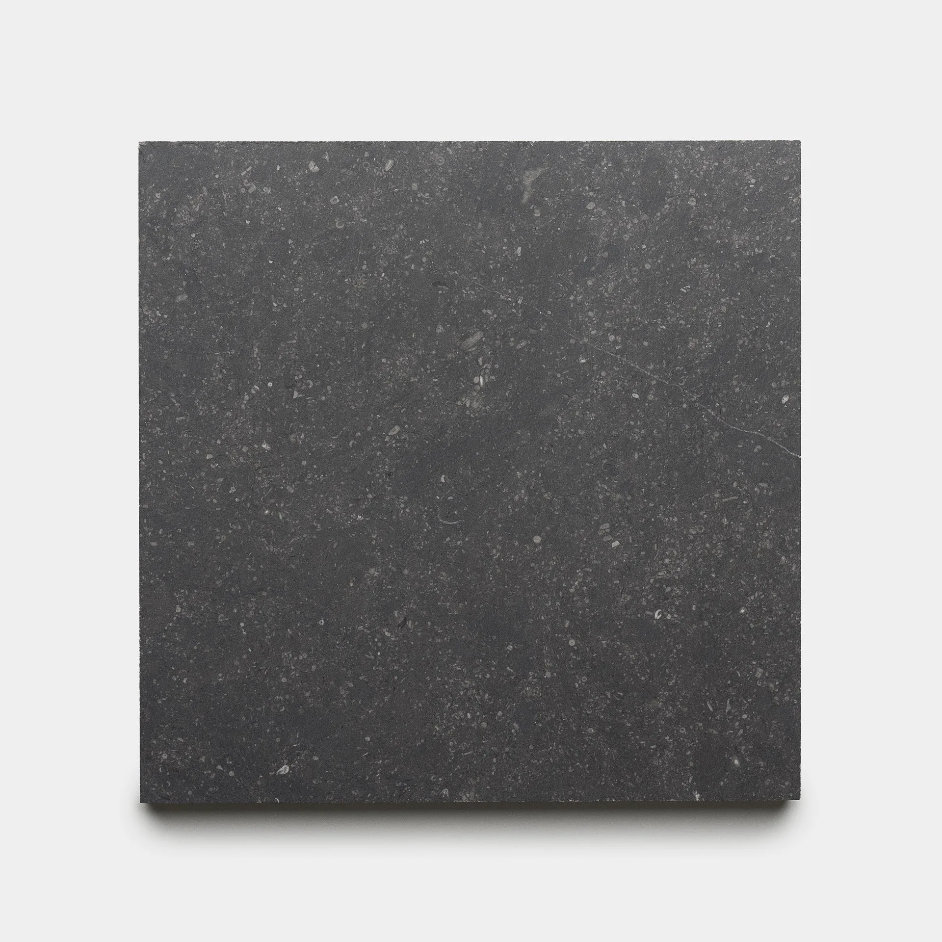 Honed 12x12 Belgian Bluestone