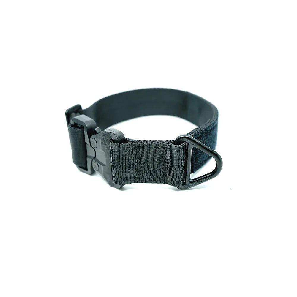 Everyday Collar 1.75"