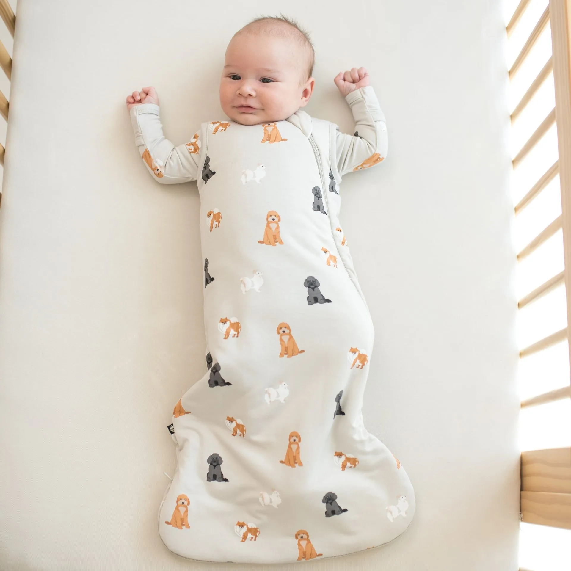 Kyte Baby Swaddle Buying Guide: Swaddle Blanket vs. Sleep Bag Swaddler