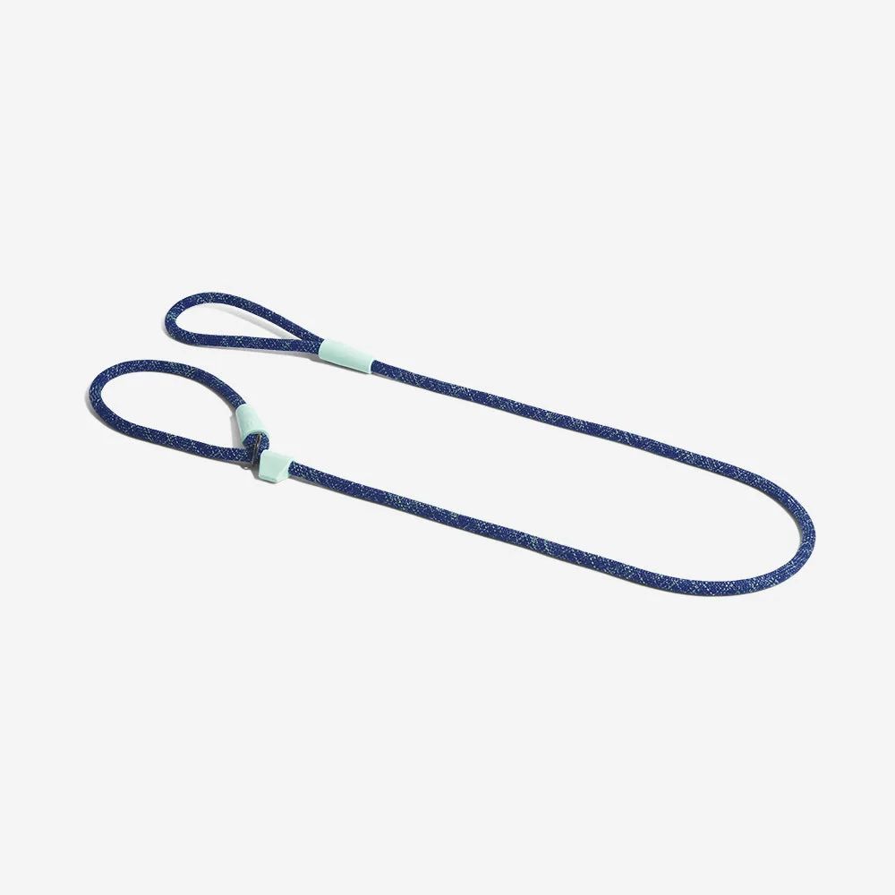 How to Use a Slip-on Leash for Quick Walks