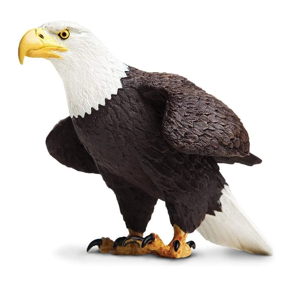 لعبة النسر الأصلع