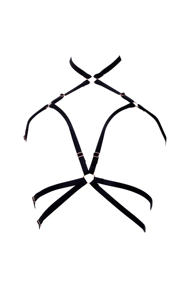 Impel Harness