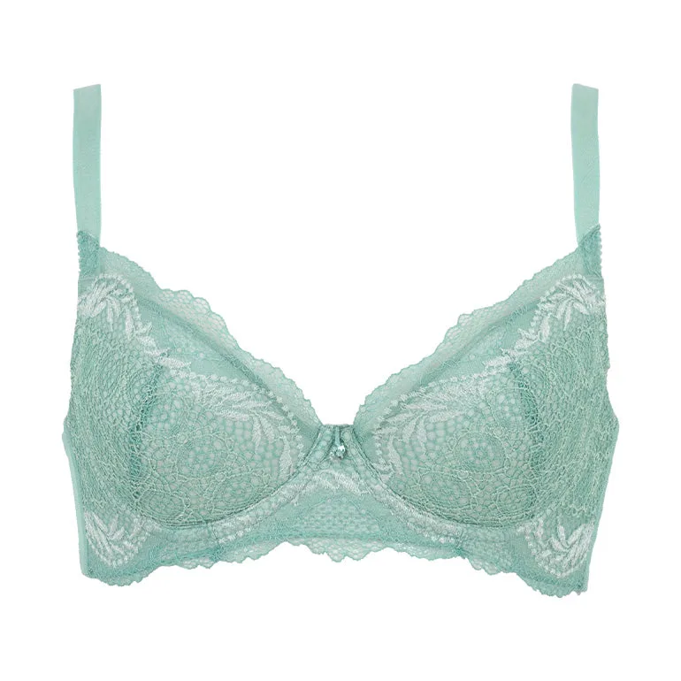 Wendy Shaping Bra 24A1