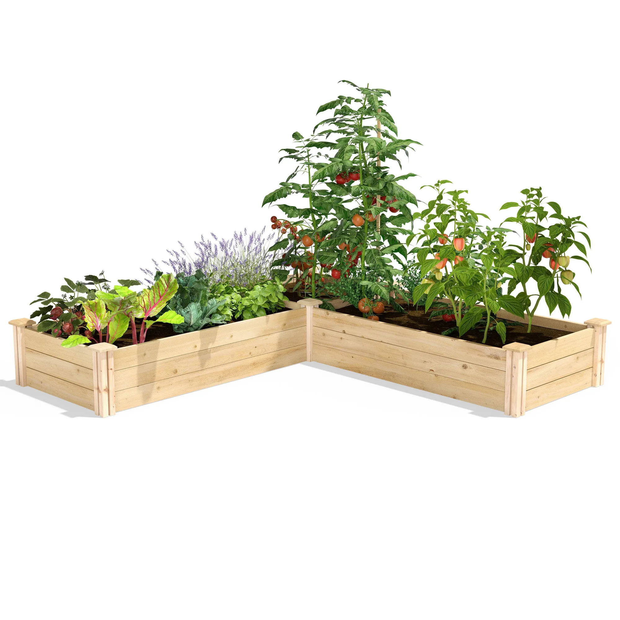 Premium Cedar Raised Garden Bed Sizes Explained