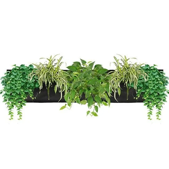 How to Choose the Right Planter Size for Your Houseplant's Root System: A Complete Guide