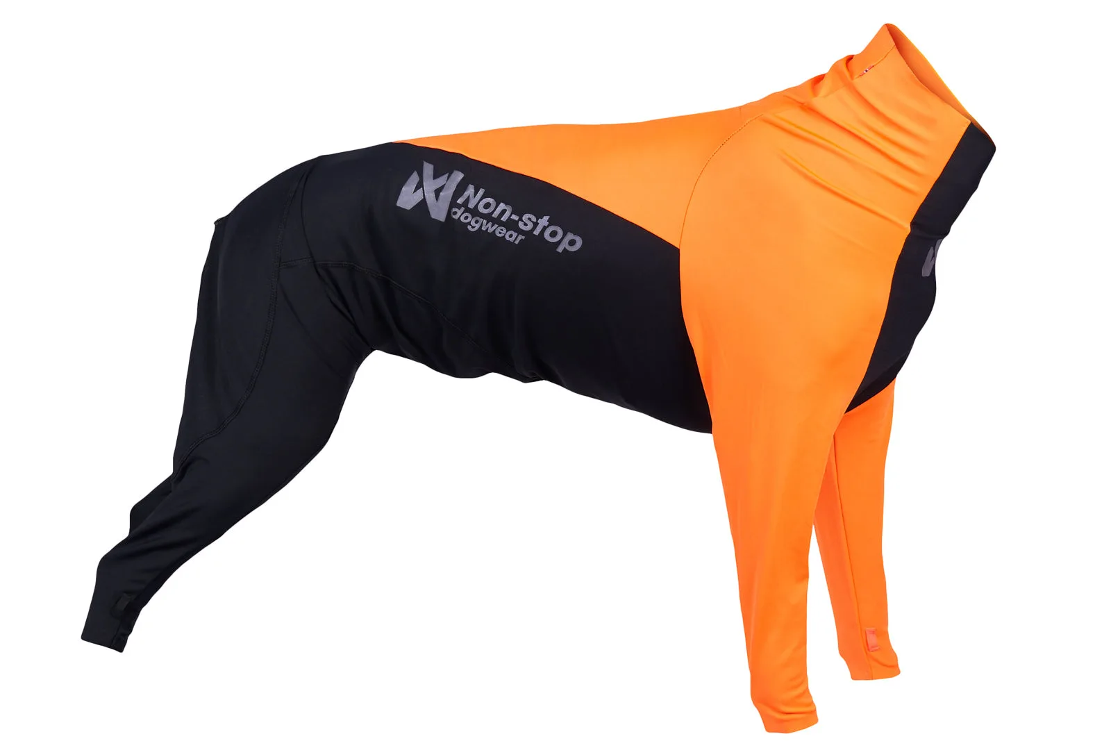 Life Jacket for Dogs: When and Why Your Dog Needs One
