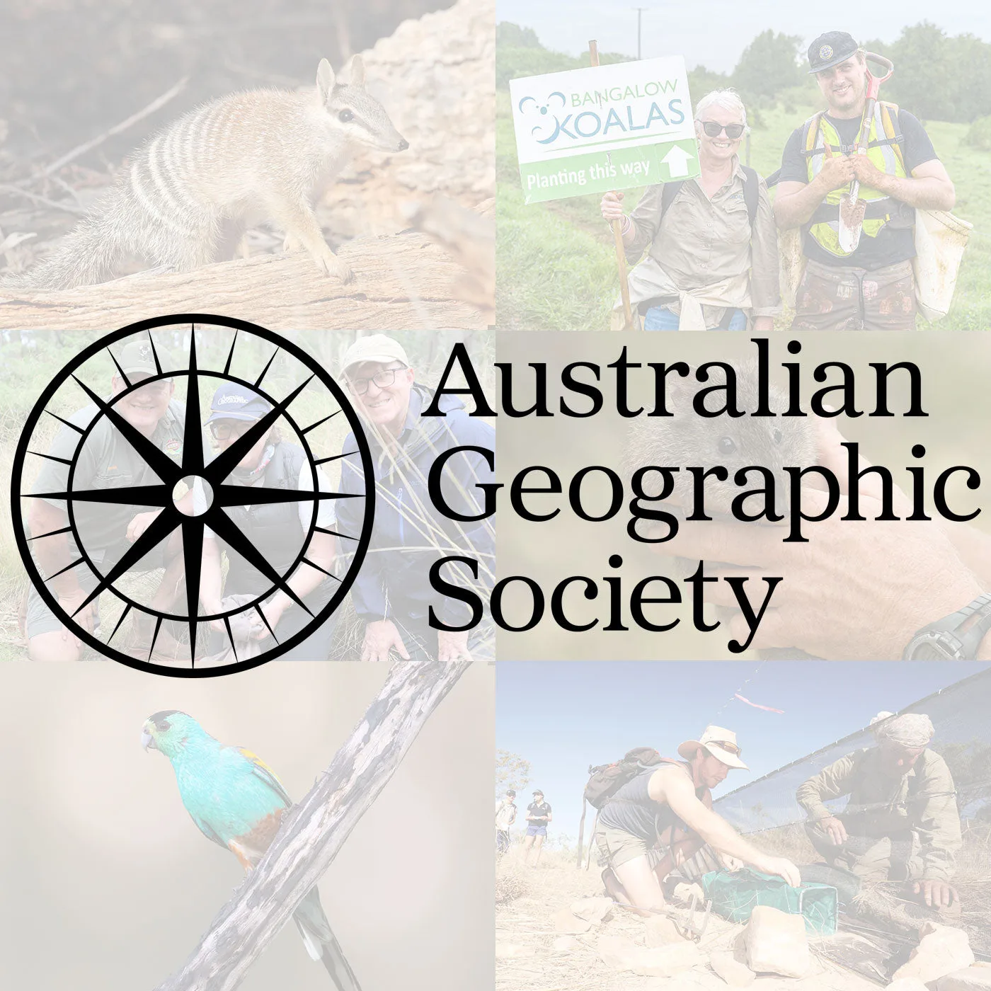 So spenden Sie an die Australian Geographic Society