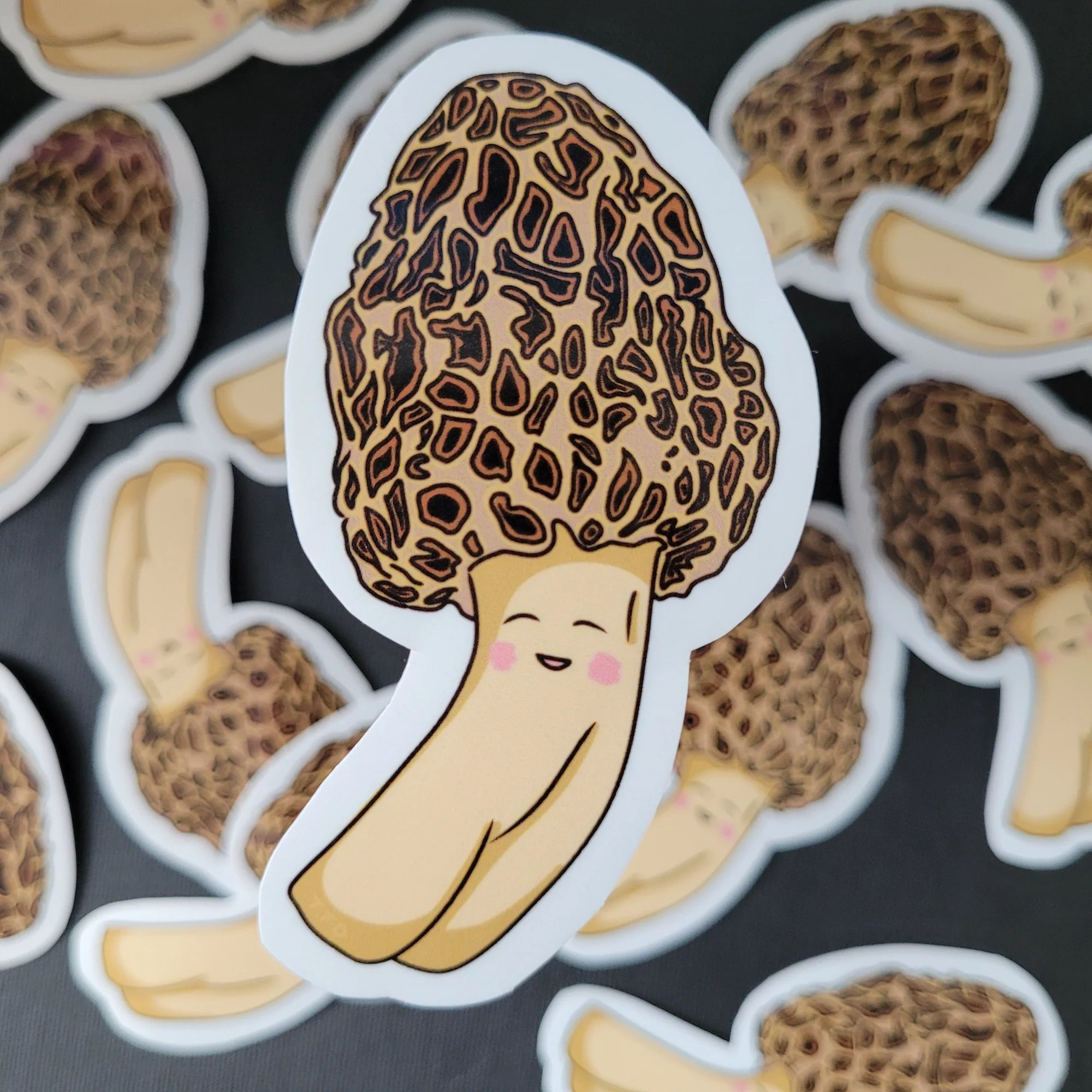 Decorative vs Functional Stickers: Which Type Do You Need?