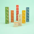 Teaching Braille with Uncle Goose Braille Blocks: A Hands-On Guide