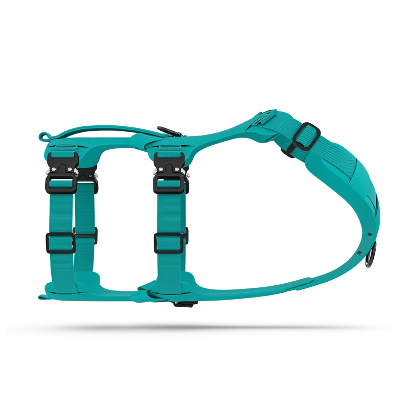 Lander™ harness