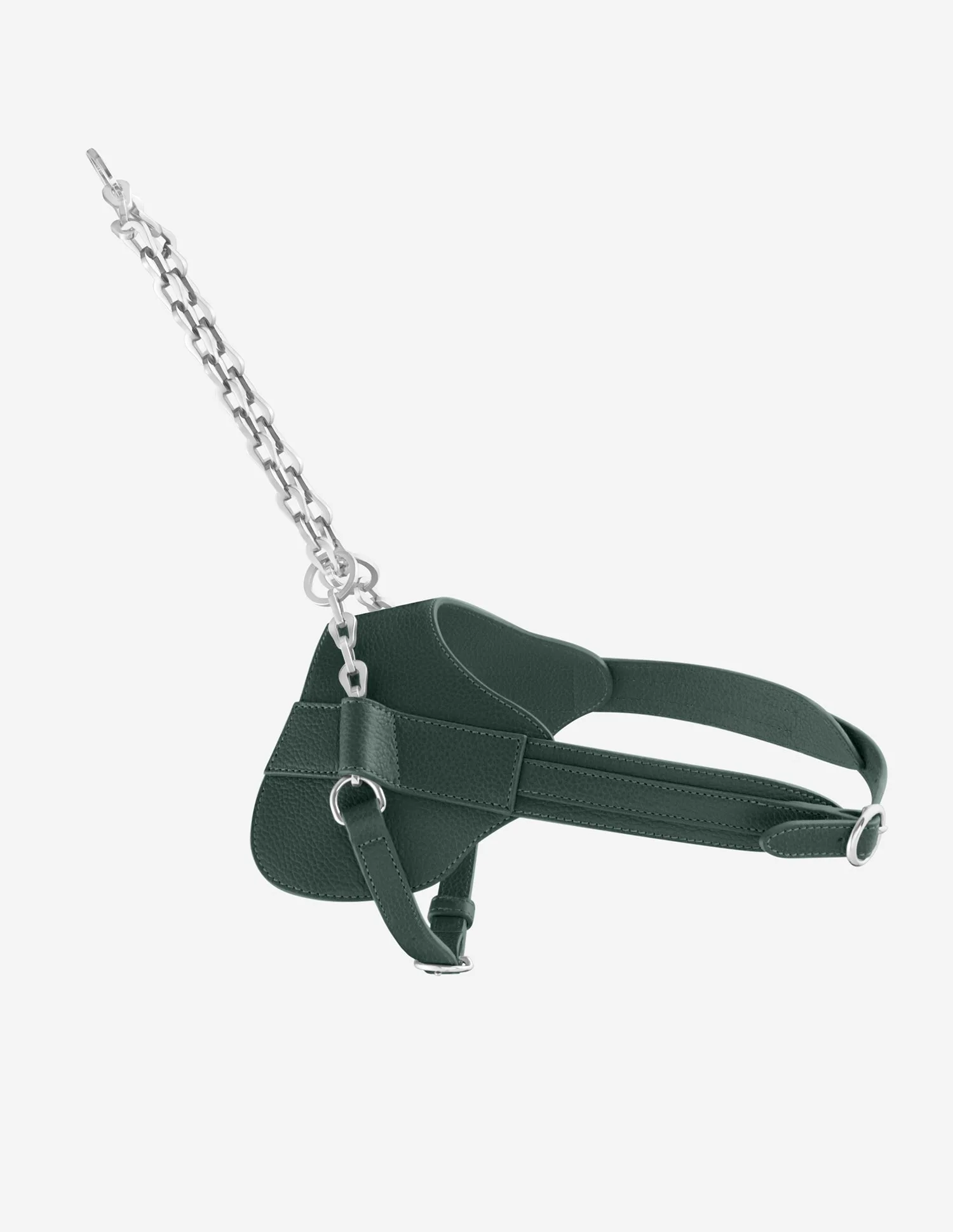 How to Choose a PAGERIE Harness That Fits Your Dog Comfortably