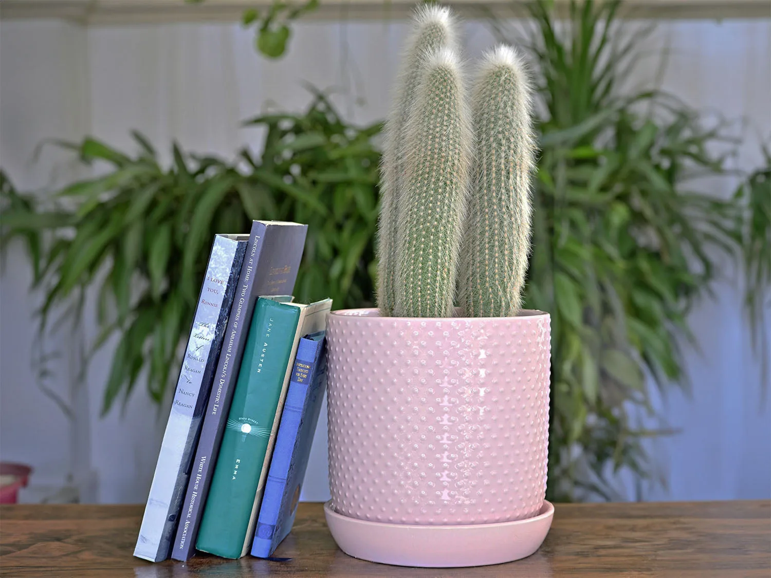 Gestippelde cilindrische plantenbak met vaste schotel
