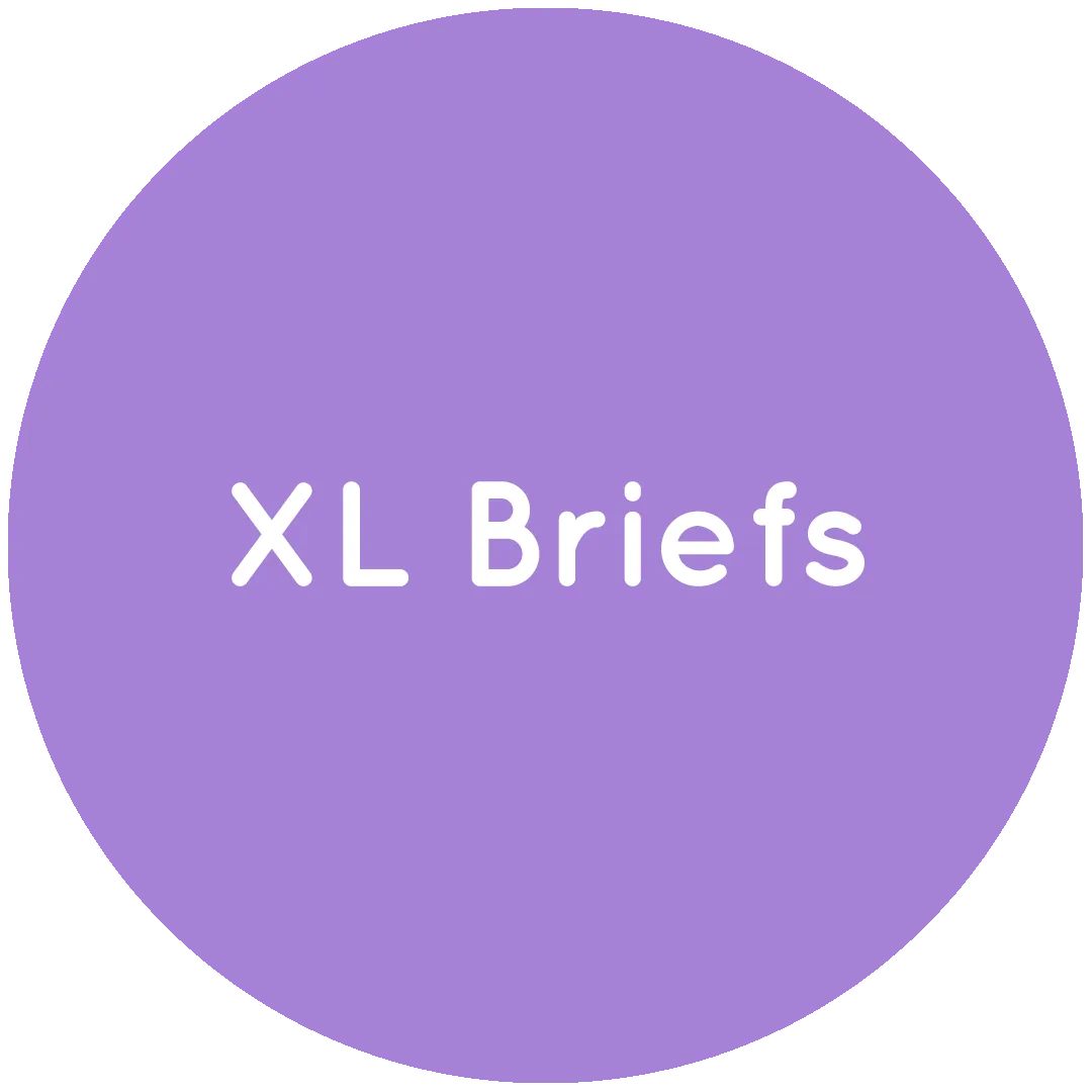 OUTLET - XL Briefs
