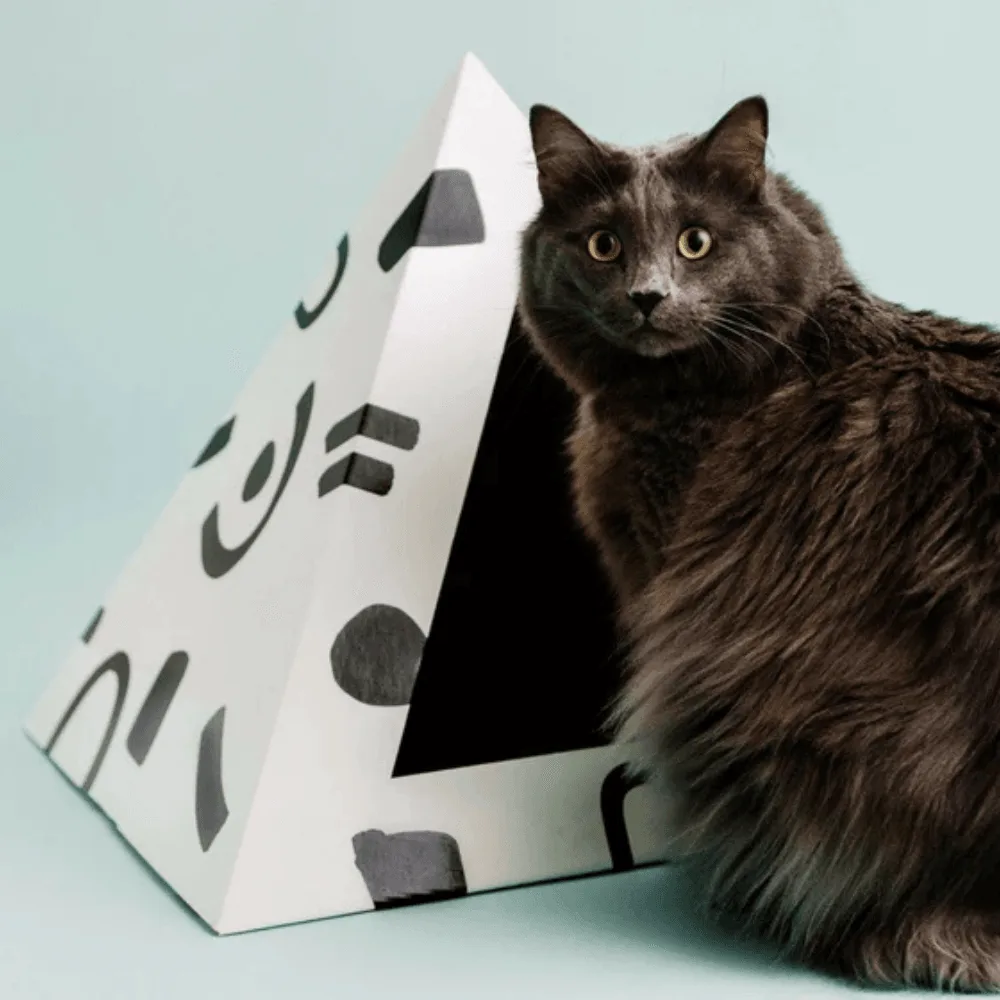 How to Choose the Right Cat Bed or Cat Cave