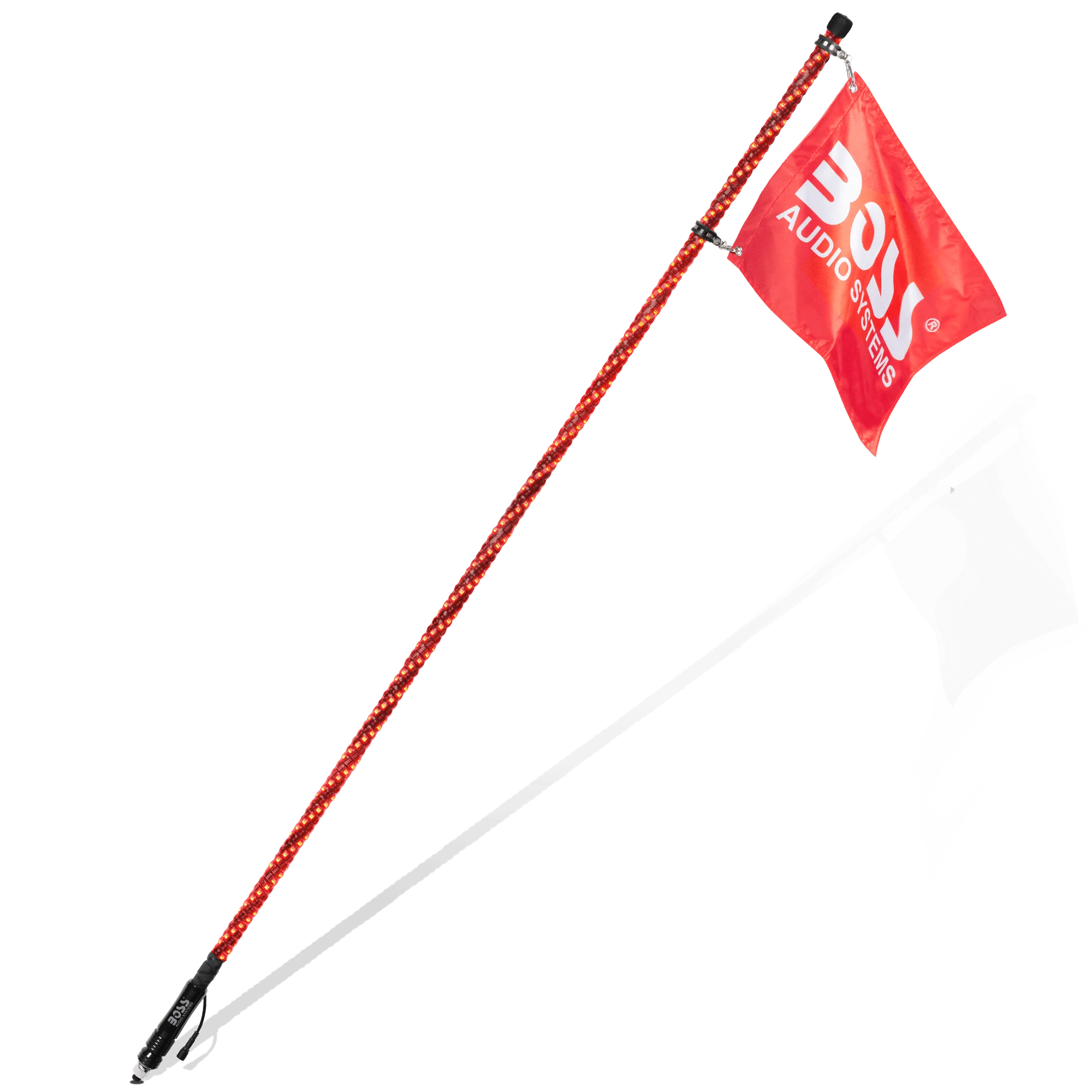 WP6