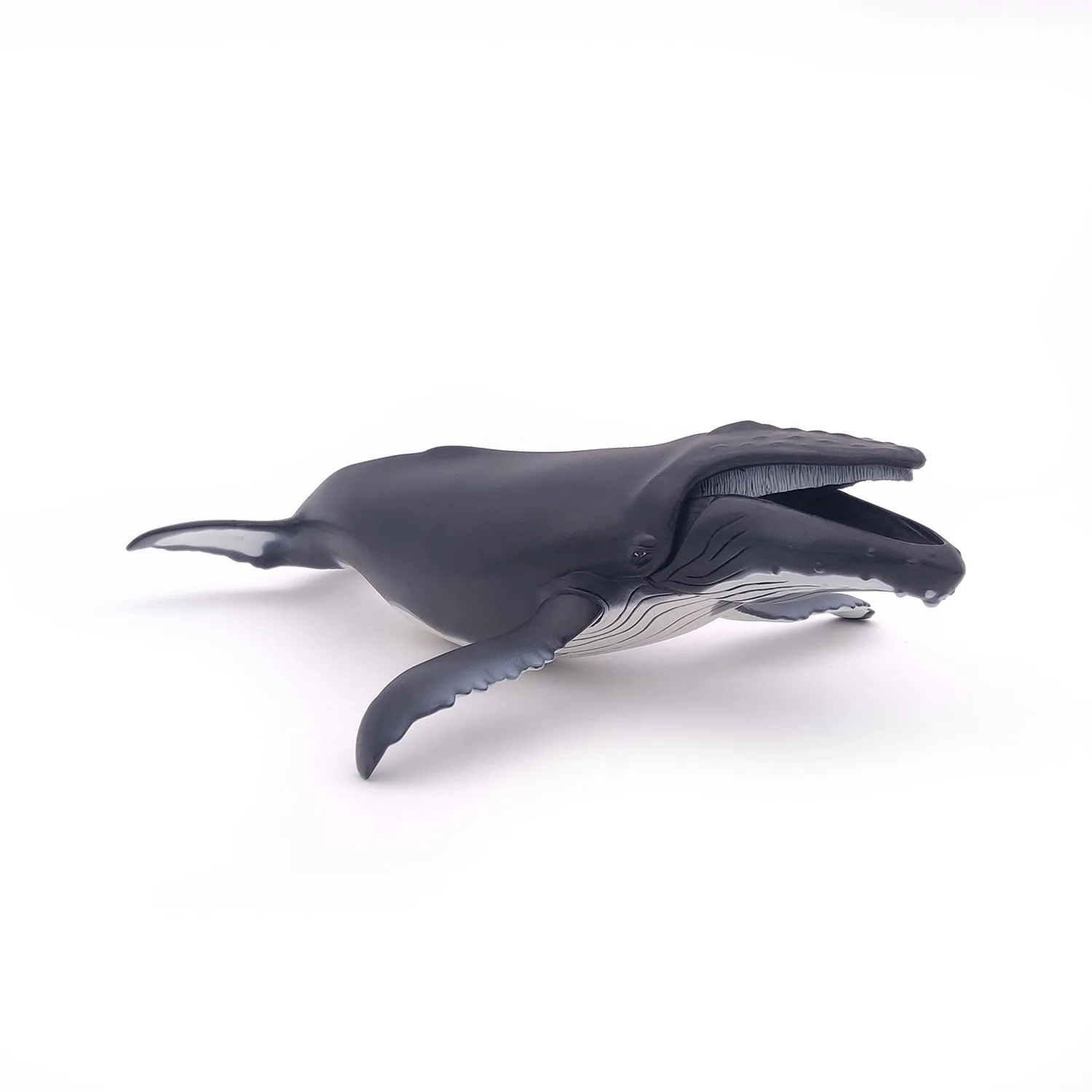 パポの海の生き物で作るオーシャンジオラマ