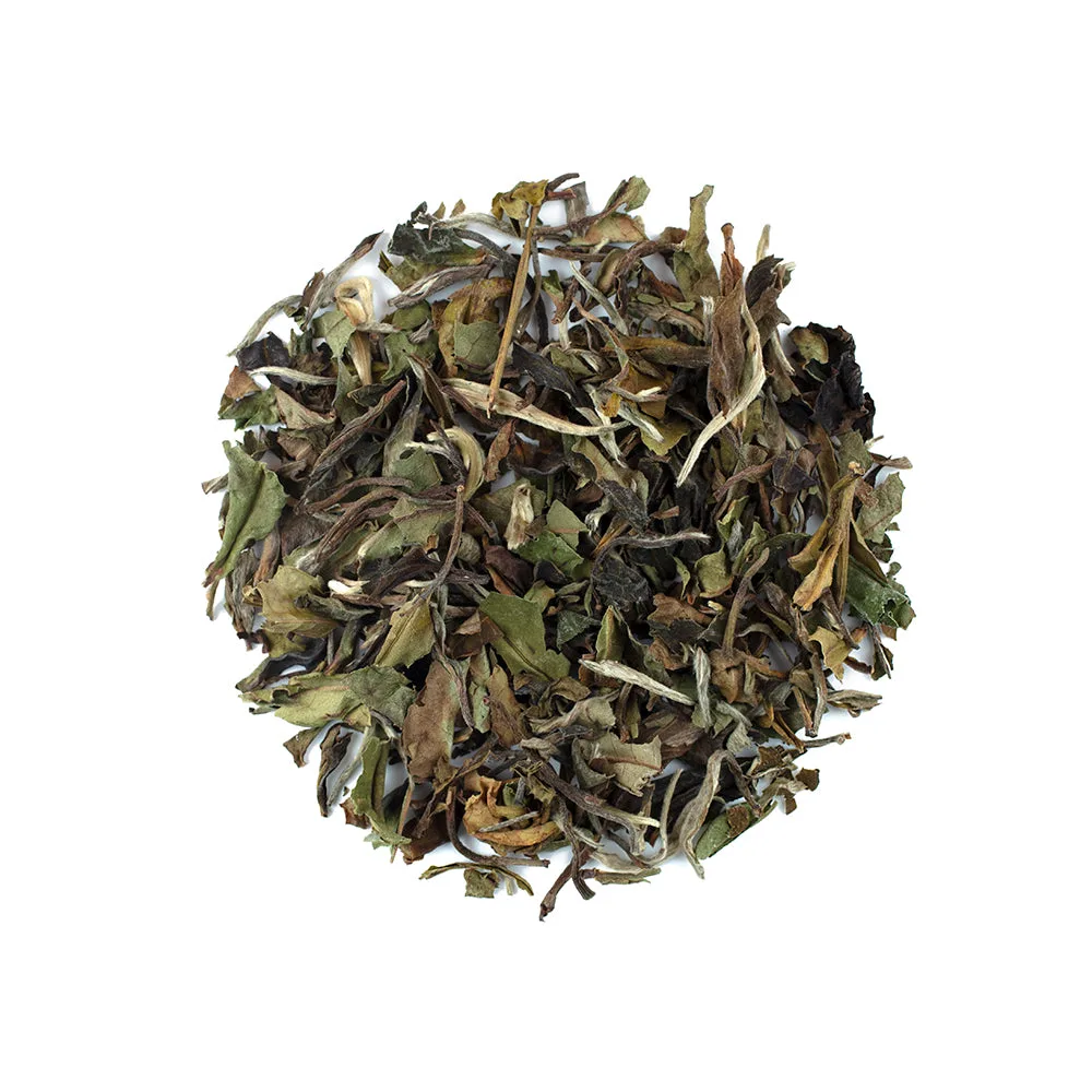 Té Blanco: Beneficios, Variedades y Cómo Prepararlo Correctamente