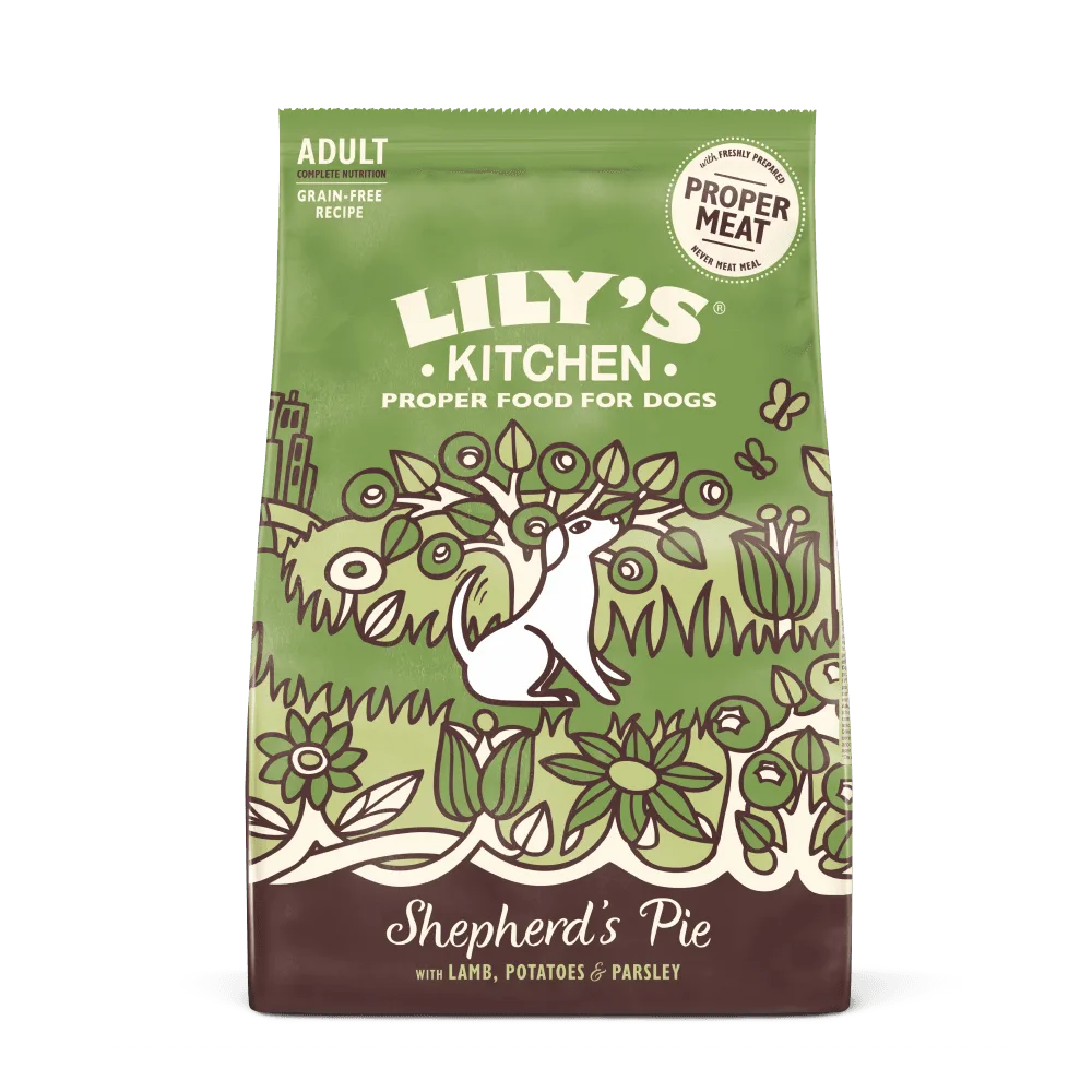 Wet vs Dry Dog Food for Adult Dogs: A Complete Buying Guide