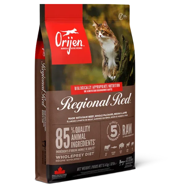 How to Switch Cat Food Without Upset Stomach