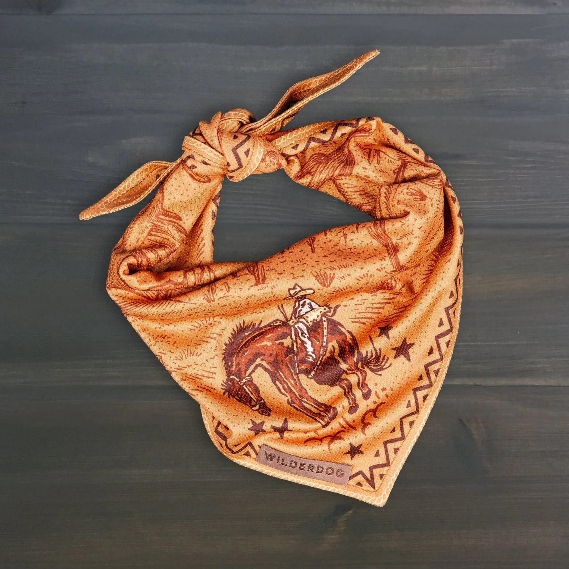 Cowpoke Bandana
