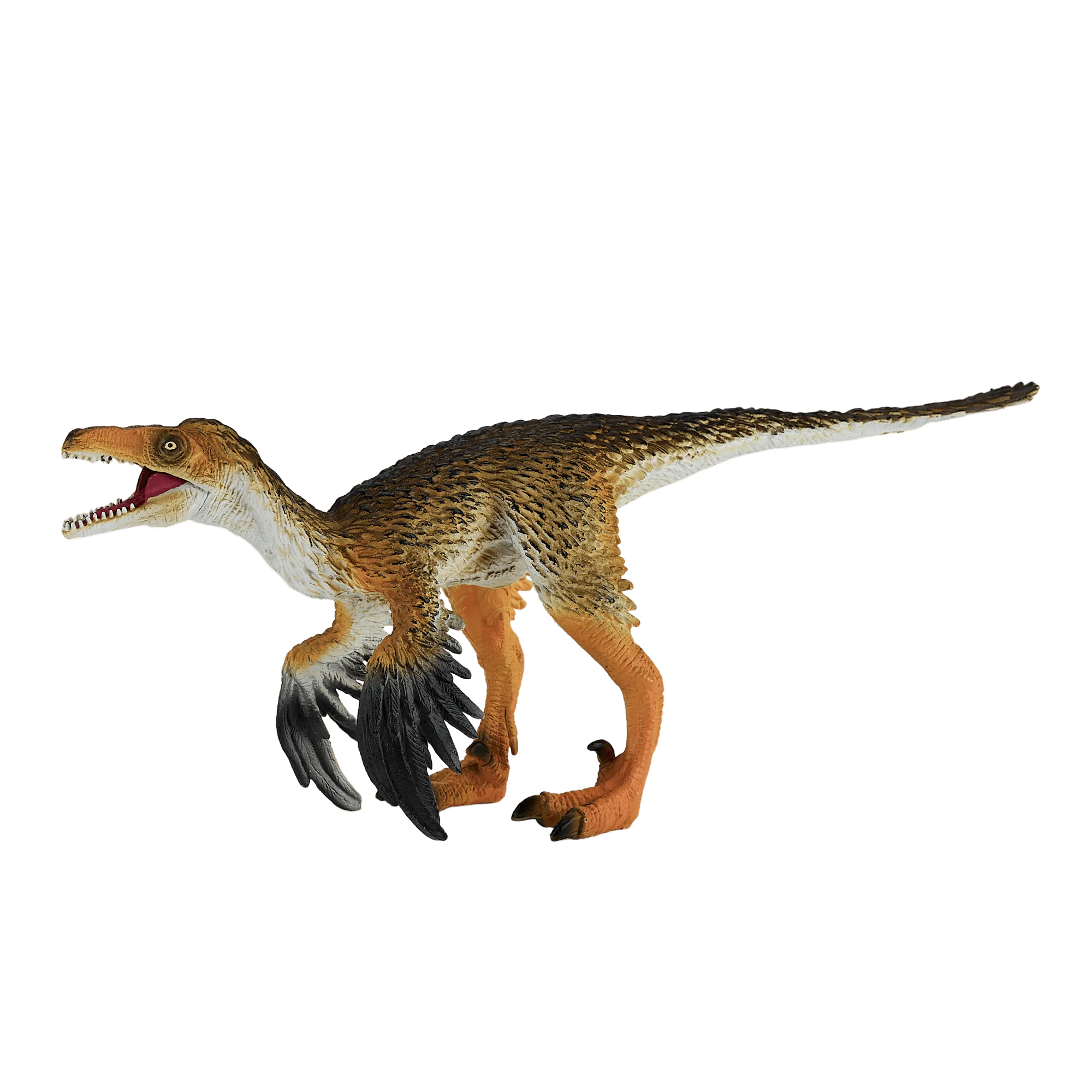 Troodon with Articulated Jaw Figure FAQ: Jaw, Pose, and Care