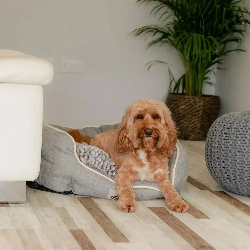 AllPetSolutions Alfie Oval Soft Dog Bed - Grey - S/M/L