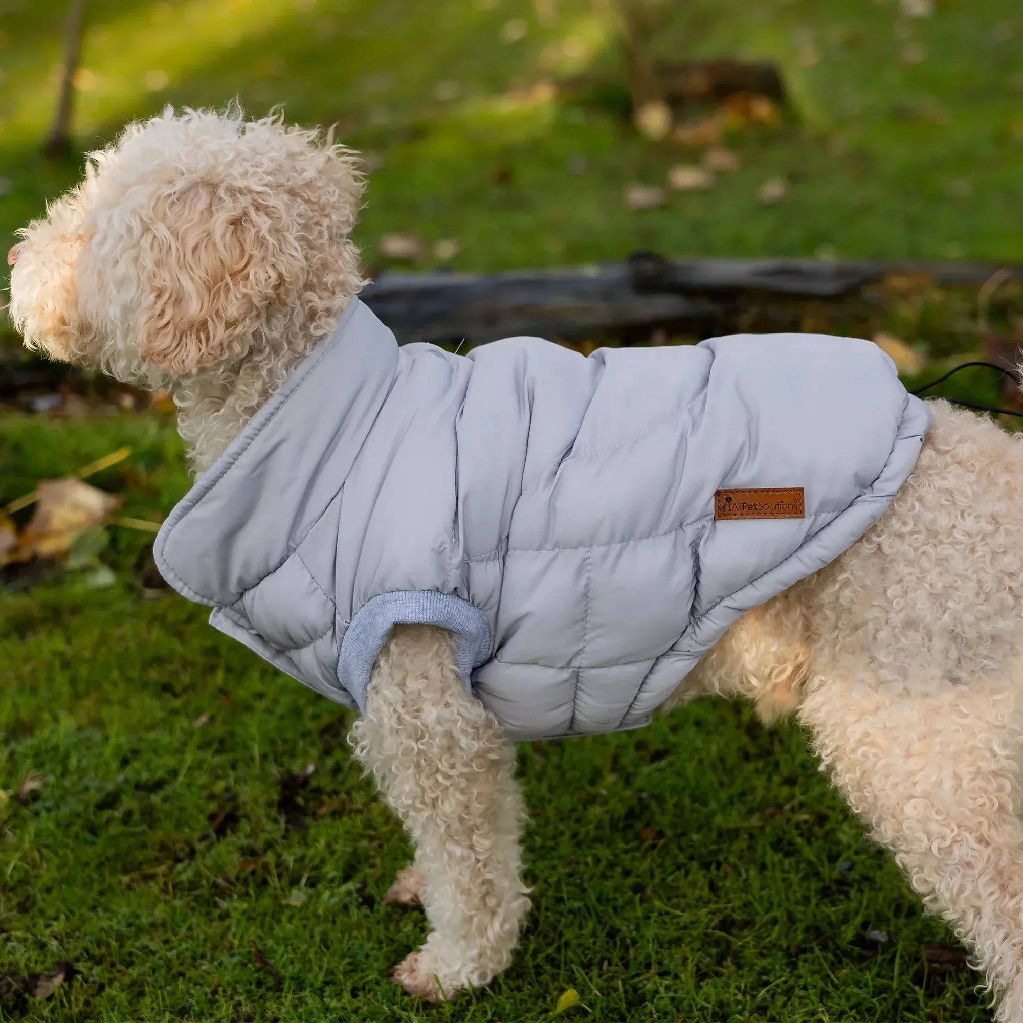 Casaco acolchoado Dog Luxury: Guia de tamanhos e ajuste