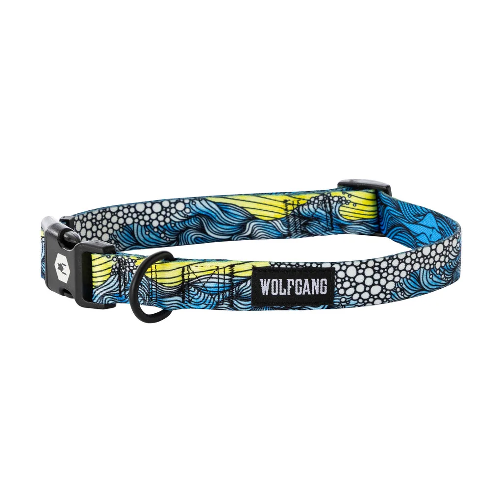 How to Introduce a New Collar to Your Dog: Step-by-Step Guide
