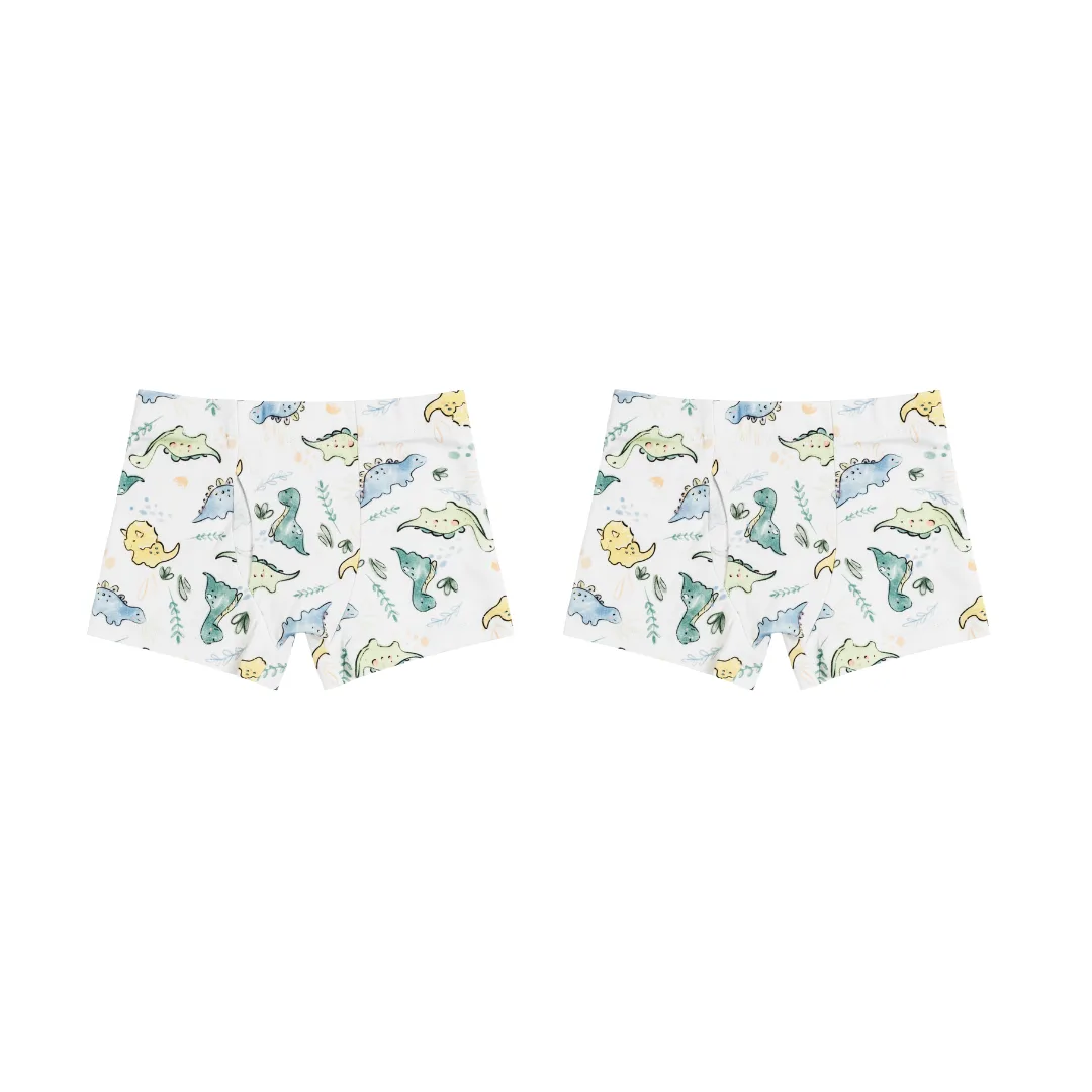 Boys Boxer Briefs Dino 2 Pack